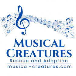 Musical Creatures Rescue and Adoption